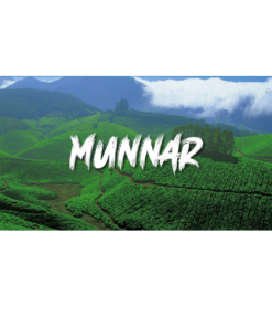 Munar Trip 
