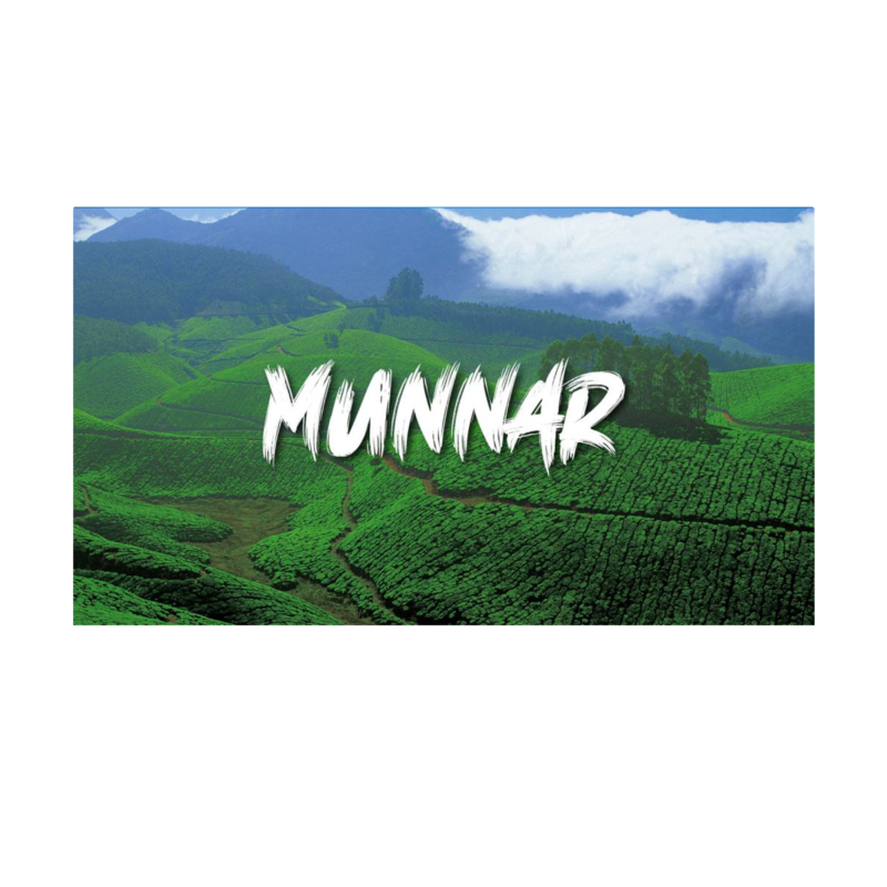 product-Munnar